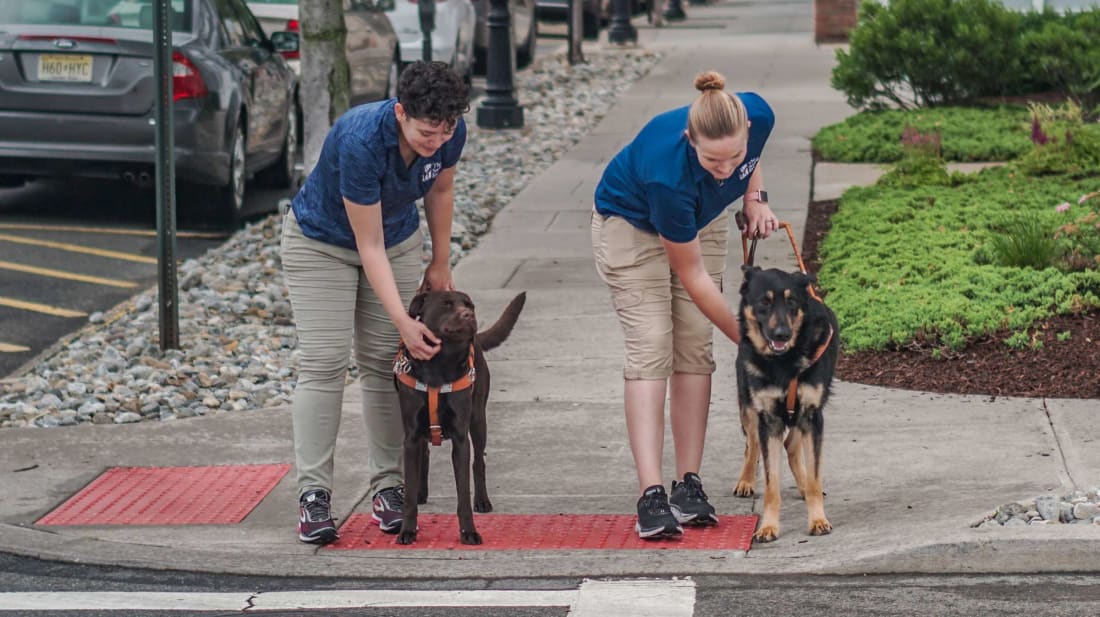 Seeing Eye instructors with the dogs they are training.