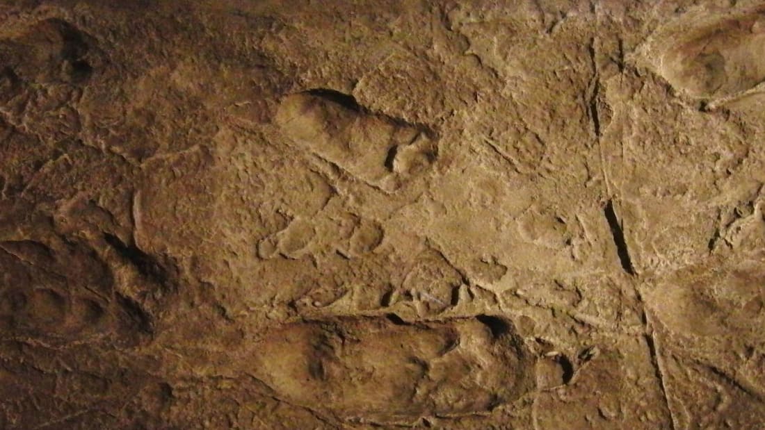 A replica of the Laetoli footprints discovered in Laetoli, Tanzania; The original footprints were dated to 3.6 million years ago.