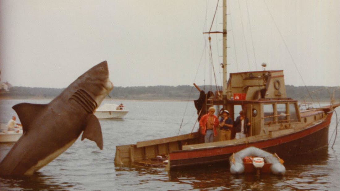 Courtesy of Jaws: Memories from Martha's Vineyard // Photo by Lynn and Susan Murphy