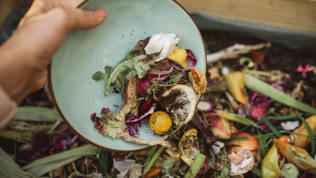 Compost is delicious trash salad for your soil.