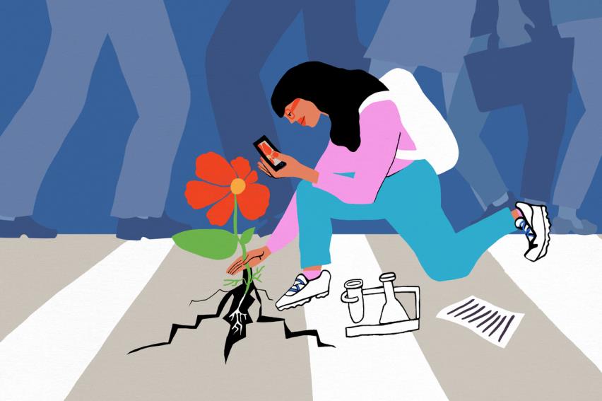 Illustration of a person kneeling down in a city crosswalk, examining a bright red flower growing out a crack in the co<em></em>ncrete and taking a photo with a phone to upload to a community science app.
